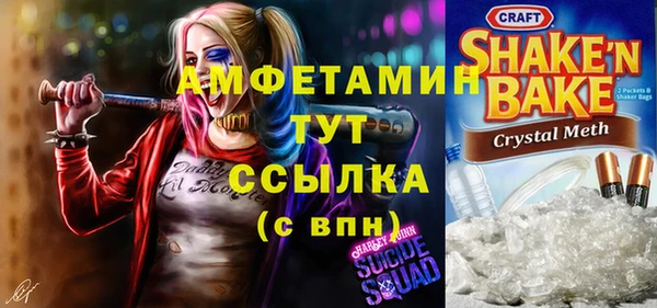 PSILOCYBIN Волосово