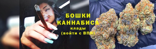 PSILOCYBIN Волосово