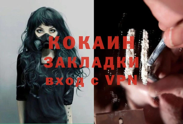 PSILOCYBIN Волосово
